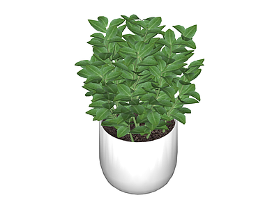 白盆绿植盆栽模型