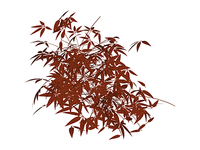 红枫灌木植物模型