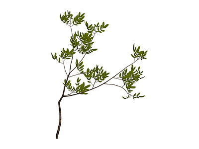 仿真绿植枝叶
