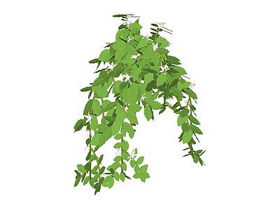 带花垂吊绿植模型