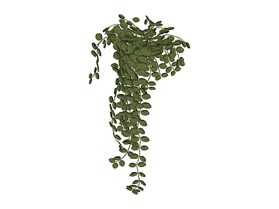 垂吊绿植模型