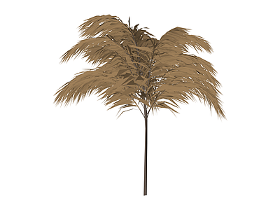 枯黄棕榈树植物模型