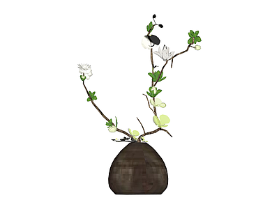 瓶插花卉植物组合