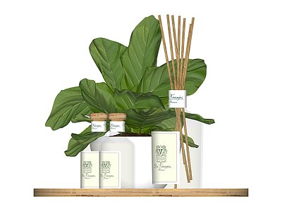 绿植香薰摆件组合