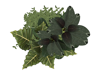 组合盆栽绿植模型