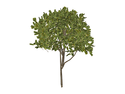 绿色灌木植物模型