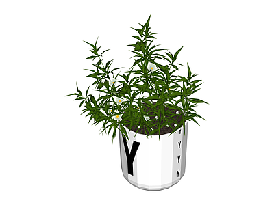 带盆绿植盆栽
