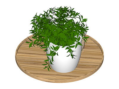 绿植盆栽组合
