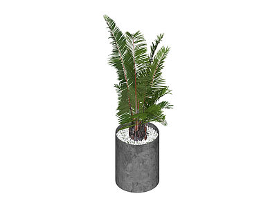 带盆绿植盆栽