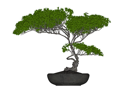 带盆盆栽绿植模型