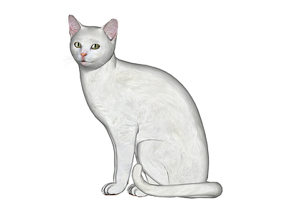 白色坐姿猫咪模型