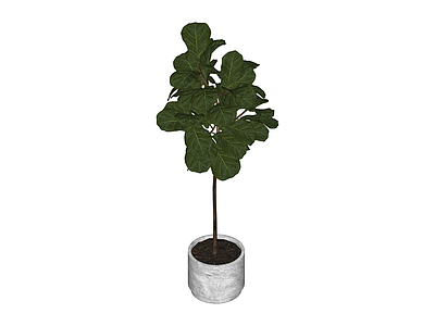 盆栽绿植模型