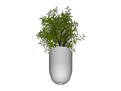 白色花盆绿植组合