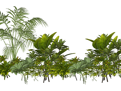 热带植物景观组合