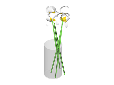 花瓶插水仙花组合