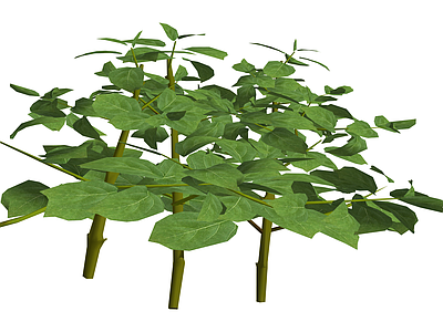 丛生灌木绿植模型