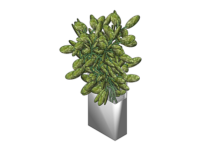 方形花盆绿植组合