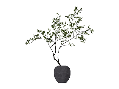 深色花瓶绿植盆栽