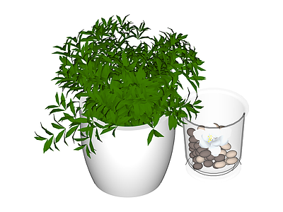 绿植盆栽组合
