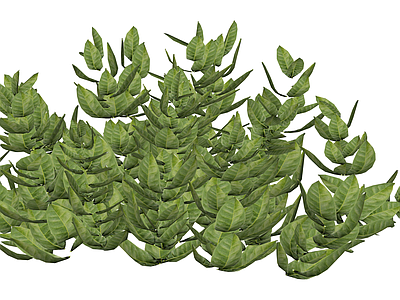 绿色灌木植物模型