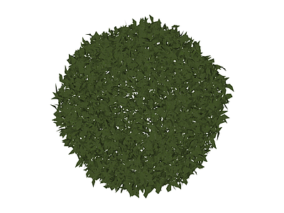 球形绿植灌木模型