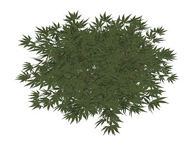 绿色观赏植物模型