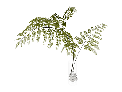 带玻璃花瓶的绿植盆栽