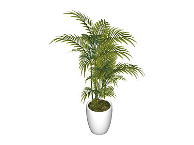 白色花盆绿植盆栽