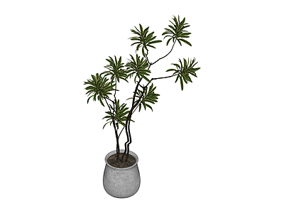 盆栽绿植模型