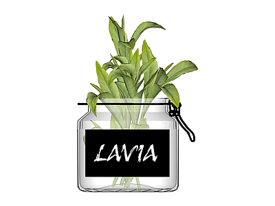 带标签玻璃植物罐