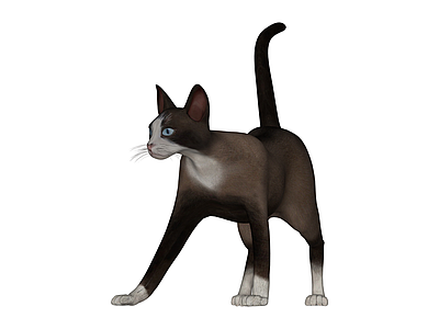 深褐色白爪猫咪模型