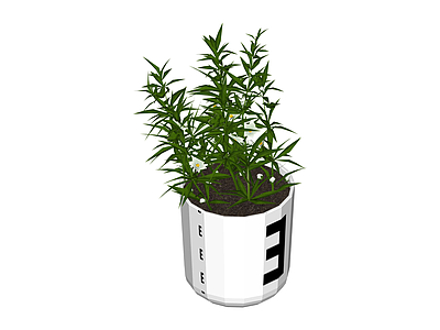 带盆绿植盆栽