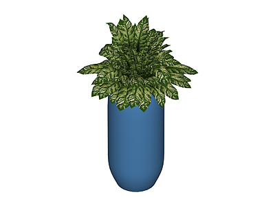 蓝色花盆绿植组合