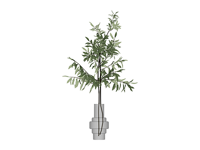 带花瓶绿植盆栽