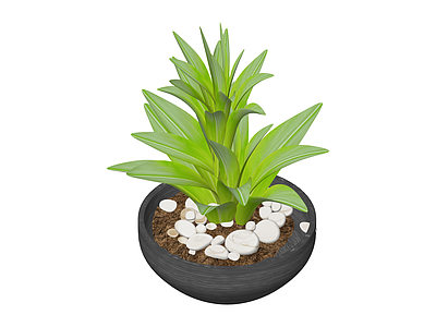 带盆绿植盆栽