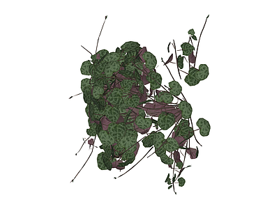 垂吊绿植植物模型