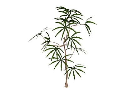 仿真景观小树模型