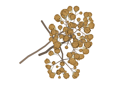 干燥花艺组合