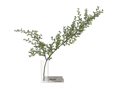 带书花瓶绿植组合