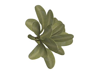 独立绿植灌木模型