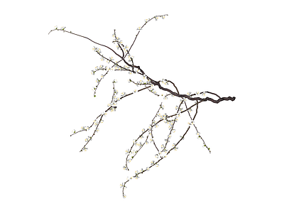 仿真梅花/枯枝干花