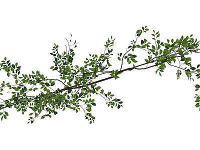 绿叶灌木植物模型