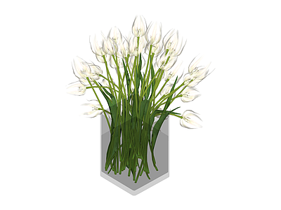 白郁金香插花花瓶