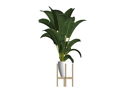 盆栽绿植组合