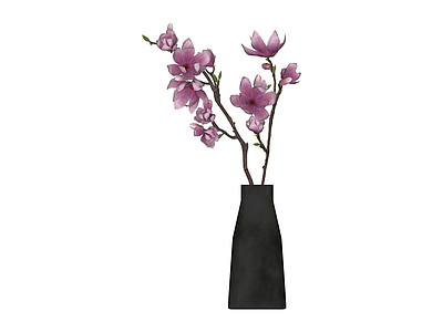 黑色花瓶插粉色玉兰花