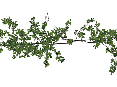绿色灌木植物模型