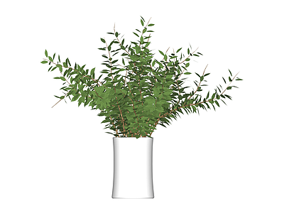 白色花瓶绿植盆栽