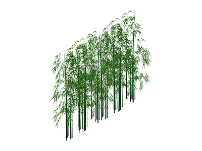 茂密竹林植物组景