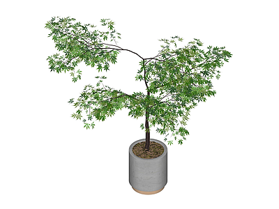 盆栽绿植模型