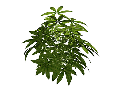 绿色阔叶植物模型